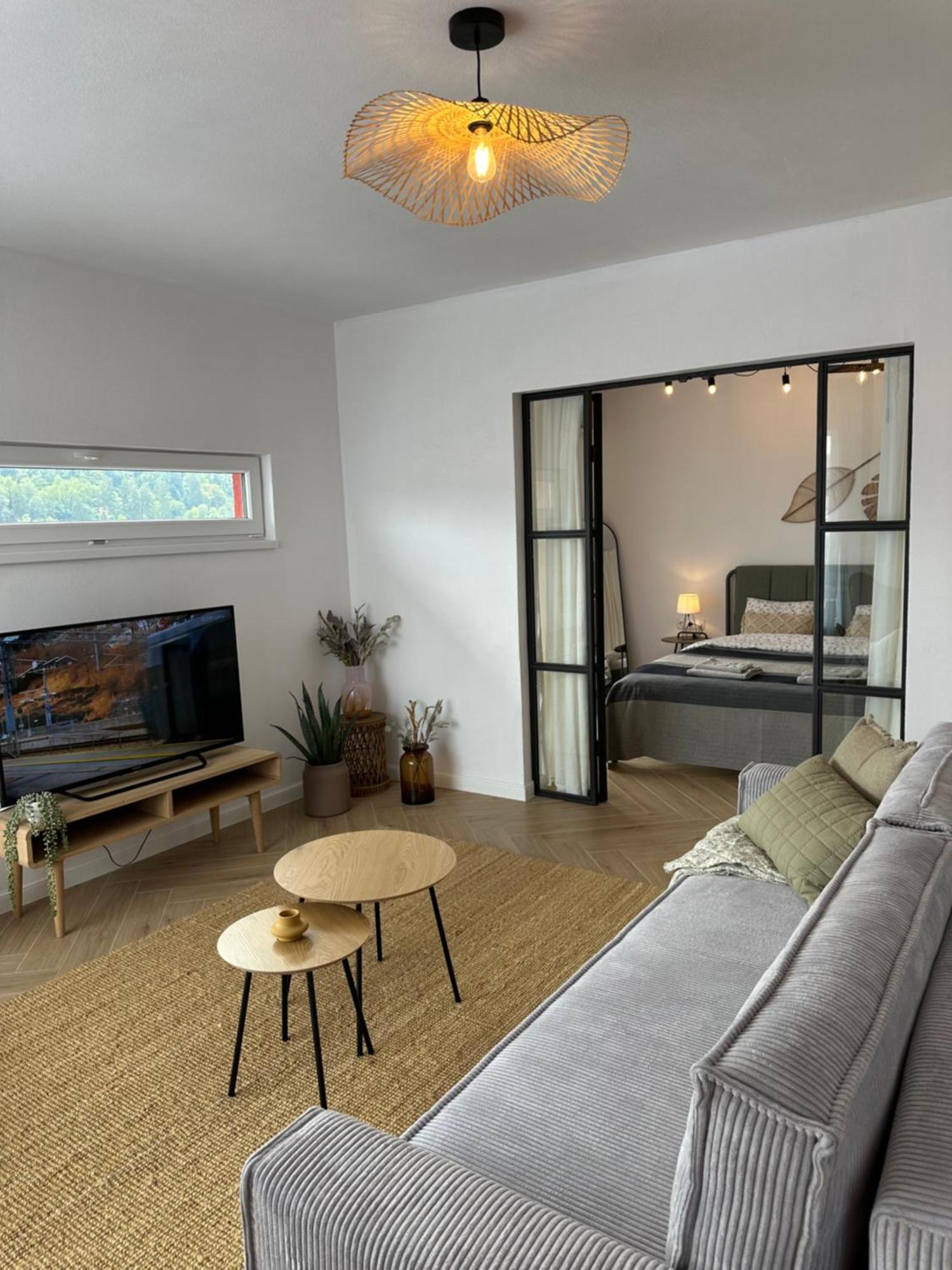Daisy Apartment 27 Сігішоара Екстер'єр фото